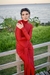 The Red Velvet dress en internet