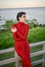 The Red Velvet dress en internet