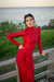 The Red Velvet dress - comprar online
