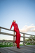 The Red Velvet dress