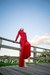 The Red Velvet dress