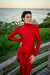 The Red Velvet dress