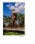 The Wild Dress en internet