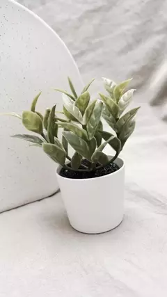 Plantita artificial en internet