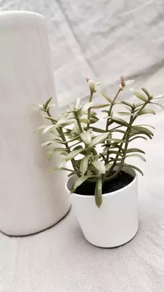 Plantita artificial - tienda online