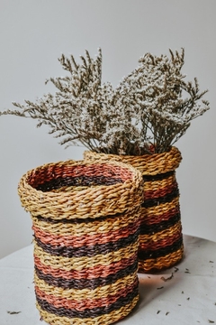 Cesta Lumi