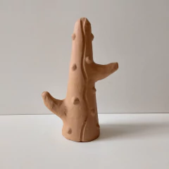 Cacto pequeno, por Mana de Tracunhaém-PE