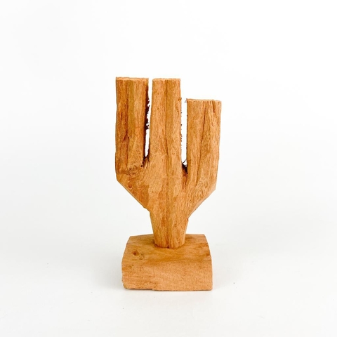 Cactus Souza 2, por Simone Souza.