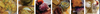 Banner de LAS PAILAS conservas de autor