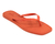 Chinelo Venice Colcci Classic - comprar online