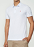 Polo Colcci na internet
