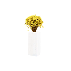 Flor Sempre Viva preservada Amarela*