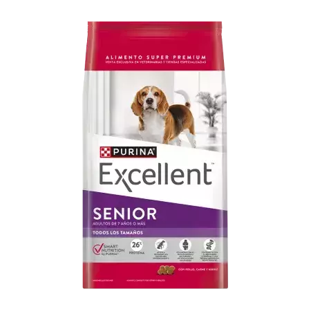 EXCELLENT PERROS SENIOR