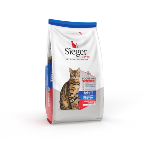 Sieger Katze Adult