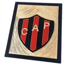 Escudo Patronato
