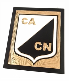 Escudo Central Norte Salta