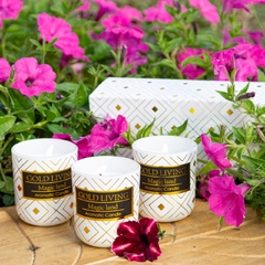 Trio de Velas Botânica Gold Living (embalagem com 3 unidades) - comprar online