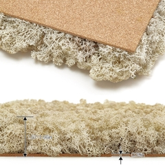 Natural - 1st Moss - comprar online