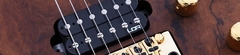 Banner da categoria HUMBUCKER