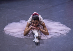 Banner de la categoría DANZA 