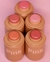 Rubor Stick Pink21