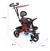 Imagen de Triciclo Little Tiger Fit Direccional