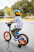 Bicicletas
