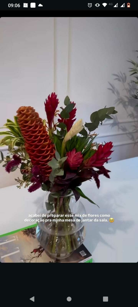 Banner da categoria Plano mensal