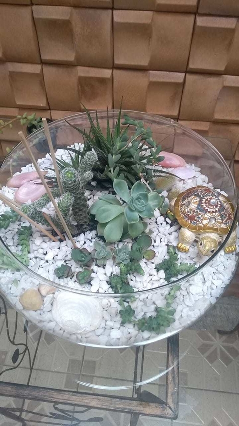 Terrário de Suculentas