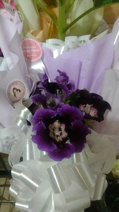 Vaso de Gloxínia - comprar online