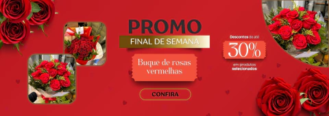 Carrusel Bruna Flores