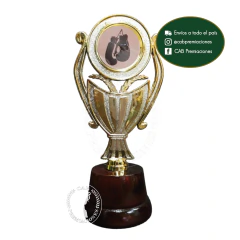 Copita/Laurel Boxeo Kick Boxing - Trofeo SOUVENIR - comprar online