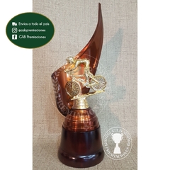 Trofeo metálico c/ figura mountain bike mtb ciclismo plás. BM - Envolvente -