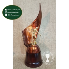 Trofeo metálico c/ figura pool / billar plás. BM - Envolvente -