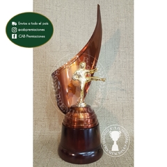 Trofeo metálico c/ figura taekwondo patada artes marciales plás. BM - Envolvente -