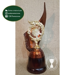Trofeo metálico c/ figura tiro laurel paintball plás. BM - Envolvente -
