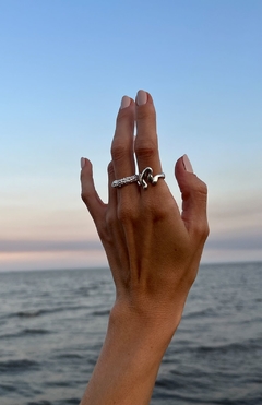 Sandy Ring en internet