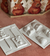 Pack 100 moldes Capibara surtidos en internet