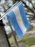 BANDERITA ARGENTINA 24x15 cm - comprar online
