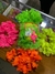 Vinchas Hawaianas x 1 unidad - comprar online