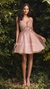 DRESS 15 20232023 en internet