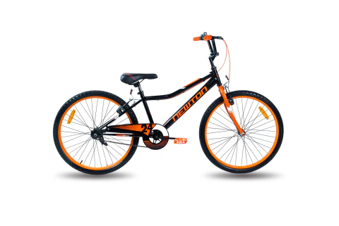 BICICLETA R24 NEWTON GROW en internet