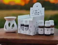 Aceites Esencias Aromáticas Variadas Para Hornitos en internet