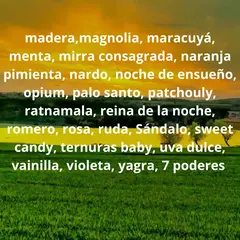 Aceites Esencias Aromáticas Variadas Para Hornitos - Comenzando a Despertar