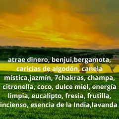 Aceites Esencias Aromáticas Variadas Para Hornitos - tienda online