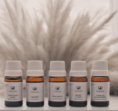 Aceites Esencias Aromáticas Variadas Para Hornitos - comprar online