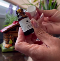 Aceites Esencias Aromáticas Variadas Para Hornitos en internet