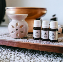 Aceites Esencias Aromáticas Variadas Para Hornitos en internet