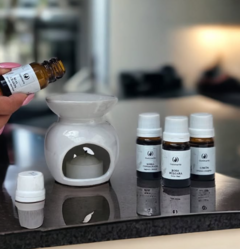 Aceites Esencias Aromáticas Variadas Para Hornitos - comprar online