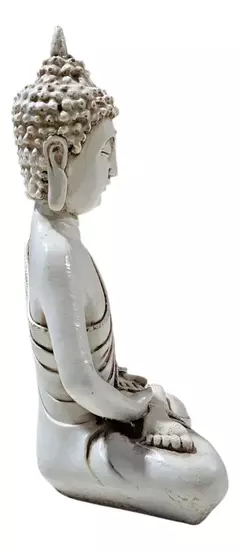 Buda Terragona De 20 A 30 Cm Exterior E Interior en internet